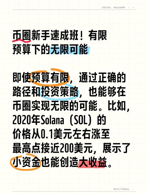 投资tp官方正版下载，如何合理设置预算与分阶段投入资金？